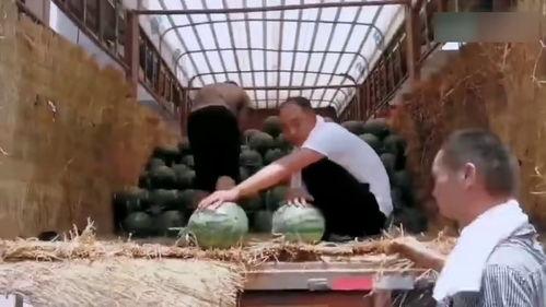 大学生现场吃瓜视频大全,大学生现场吃瓜视频大盘点