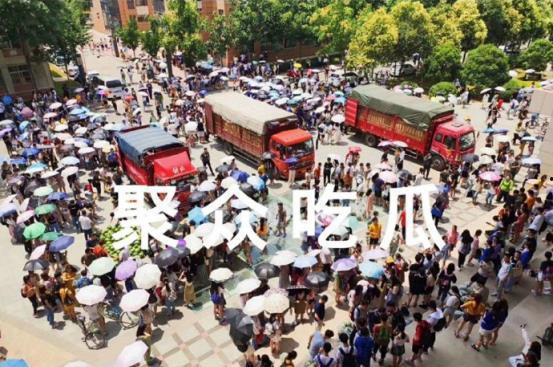 多人聚众吃瓜视频大全集,揭秘热门聚众吃瓜视频大全集