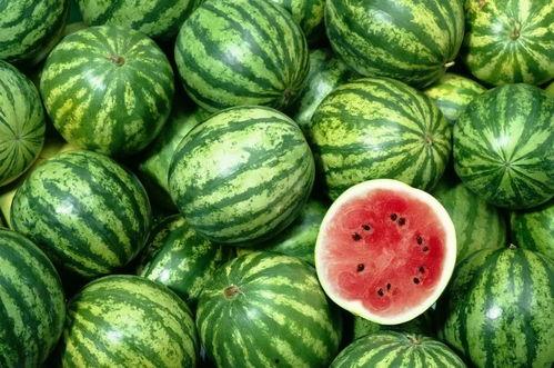 疫情福建人吃瓜视频,趣味横生的防疫生活剪影